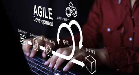 Agile si Project Management