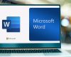 Microsoft Word