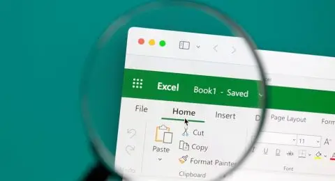 Microsoft Excel